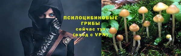 мяу мяу мука Абинск