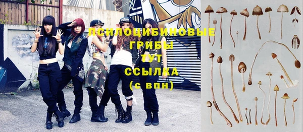 мяу мяу мука Абинск